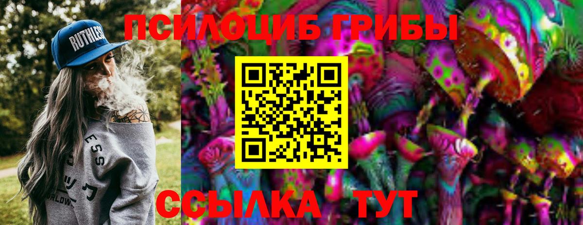 Псилоцибиновые грибы Magic Shrooms  Вход с VPN  где купить   Бузулук 